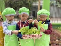 322383306 693961078869120 7287373439816389676 N