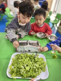 326283340 574356614549379 2314256889498150759 N