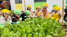 326345330 698021538704733 7056467972575353027 N