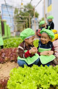 327225603 2267245116778523 3807127519287467163 N 1