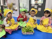 327753043 920957135563408 8298962553421714008 N