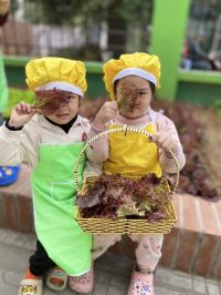 327794517 900357047671340 4579006532660576612 N