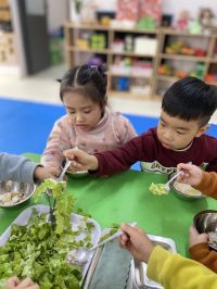 327906955 1194401164511788 4207687619649938005 N