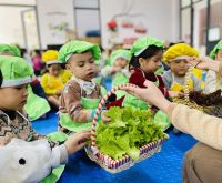 328008739 520986236834353 1659796990538754612 N