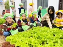 328735281 1259399284648577 6280725038673661345 N