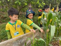 335857104 3388382304709834 7576678031332895120 N