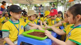 335927378 785077966320330 1630347376436488342 N