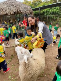 335948241 245969471110269 7717025103424575118 N