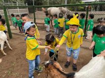 336061572 592920632722741 5994042765716601626 N