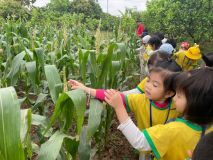 336123857 158155210102009 8321750189822595566 N