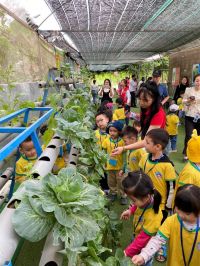 336480995 1611036856010442 7068253856079651870 N